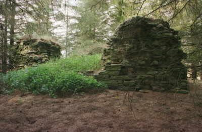Ruins of Hynd Castle, Monikie